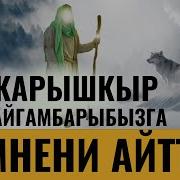 Карышкыр Туш Корсо Эмне Болот Кыргызча