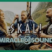 Skål By Miracle Of Sound