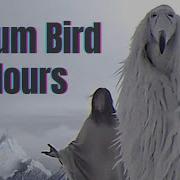 Oppium Bird 1 Hour