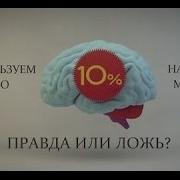 Нищета Мозга