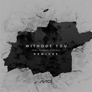 Without You Adans Remix