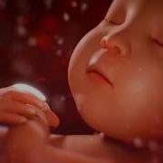 Музыка Для Беременных Успокаивающие Звуки Для Ребенка В Утробе Матери