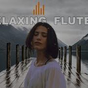 Shofik Nature S Lullaby Flute In The Rain