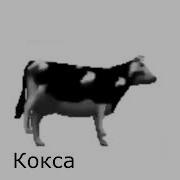 Польская Корова На Русском