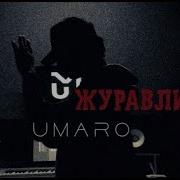Песня Далеко Далеко Улетели Журавли