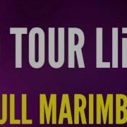 Xo Tour Life By Marimba Remix