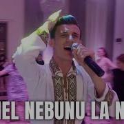 Gabriel Nebunu La Nunta