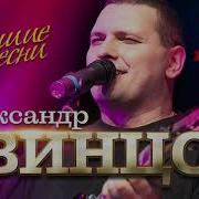 Александр Звинцов Лучшие Песни