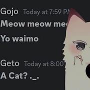 Gojo Cat