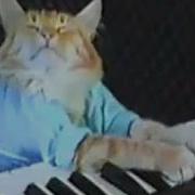 Кот Играет На Пианино
