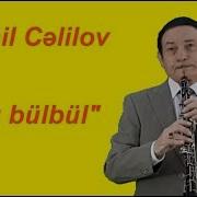 Камиль Джалилов Гобой Sarı Bülbül