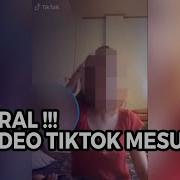 Video Viral Https Videy Co V Id Tr943Ezy