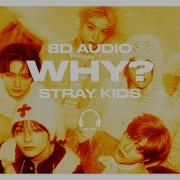 Stray Kids Why 8D