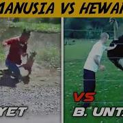 Manusia Vs Hewan