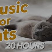 Успокаивающая Музыка Для Кошек